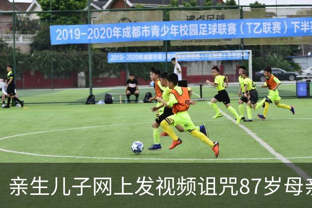 亲生儿子网上发视频诅咒87岁母亲“遭报应” 法院：血缘非侵权的“豁免事由”